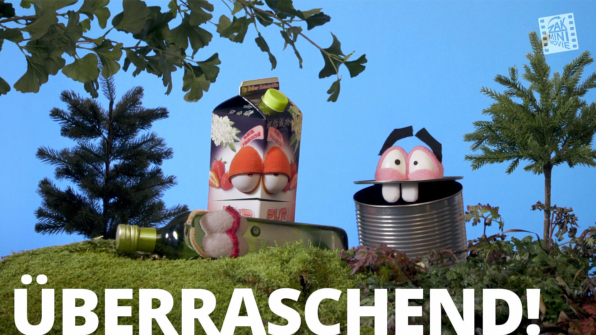 Titelbild vom Video "Wildes Müllabladen" 