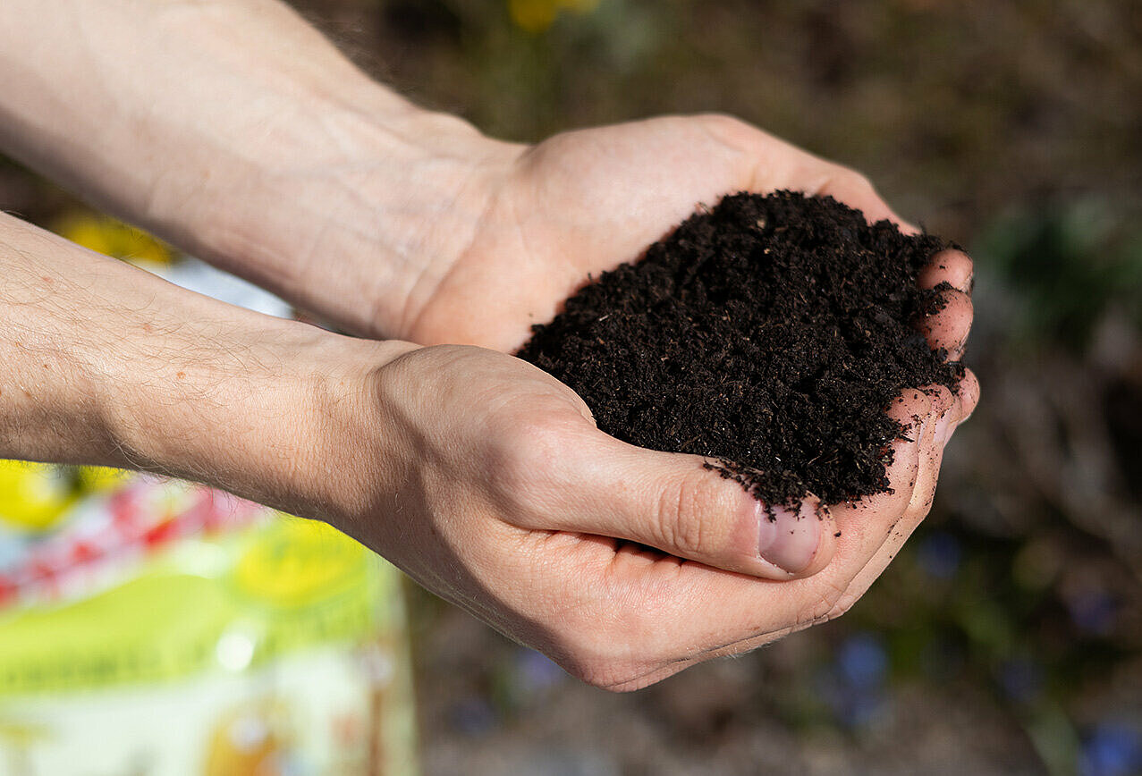 Allgäu-Kompost